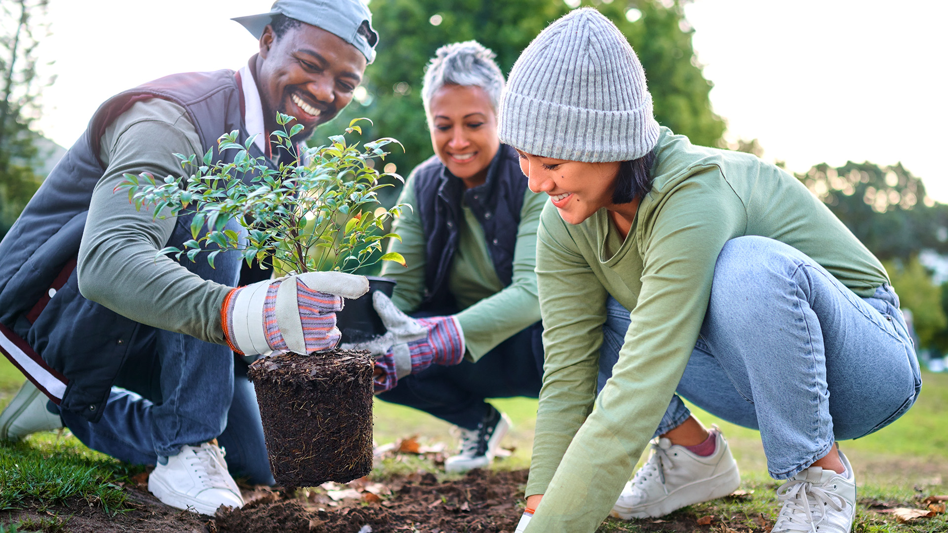 Three individuals in a garden planting